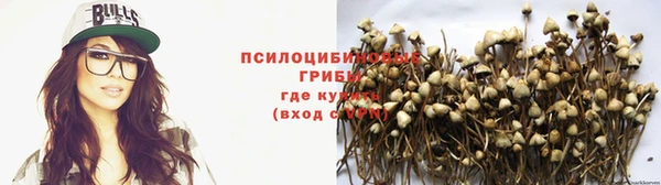 наркотики Гусев